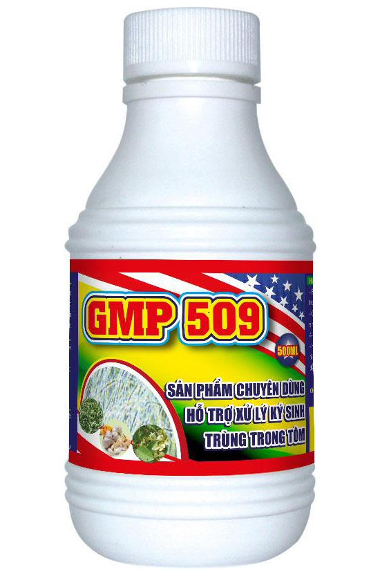 GMP 509